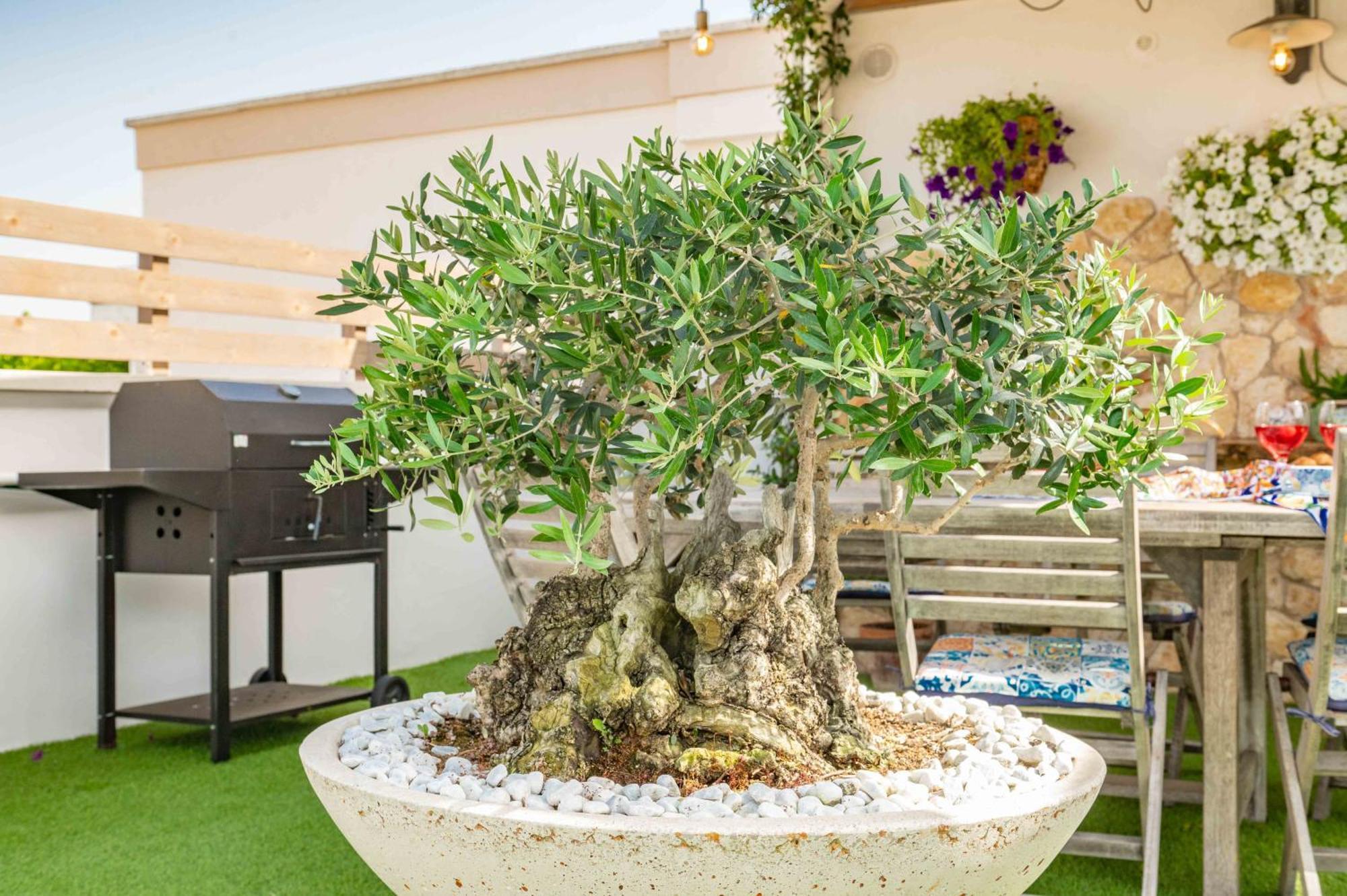 הוילה Neviano Il Panoramico מראה חיצוני תמונה